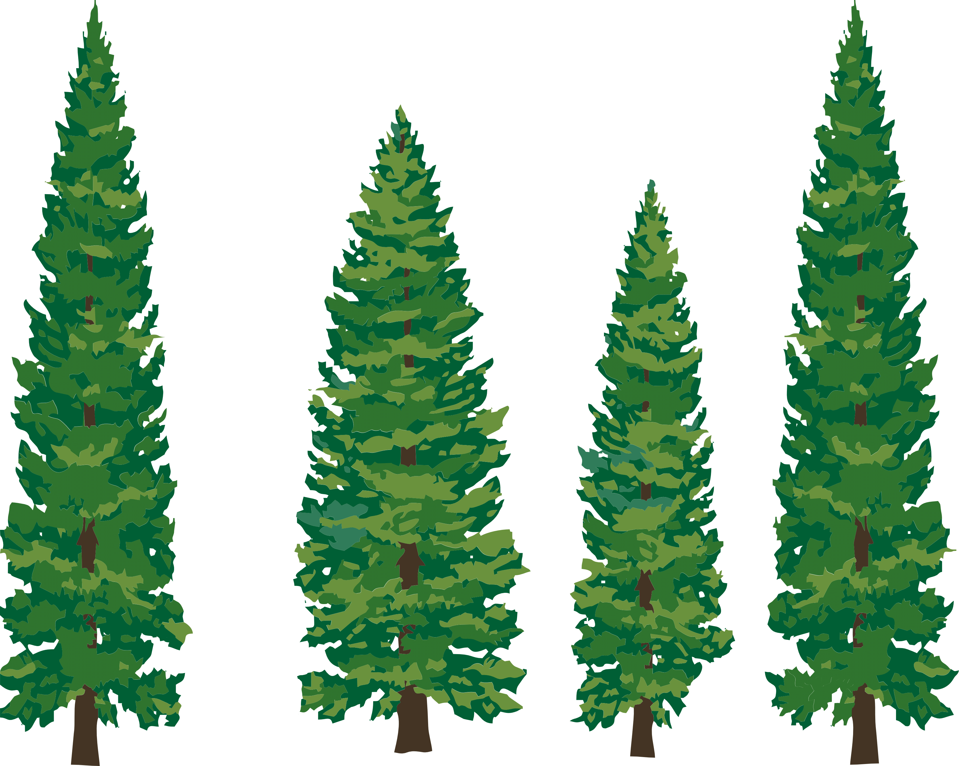 Clip Art Pine Tree - Pine Tree Illustration Png Transparent Png (1331x1063), Png Download