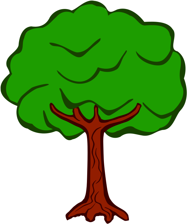 Tree Planting Color Wood Arecaceae - School Trees Clipart - Png Download (633x750), Png Download
