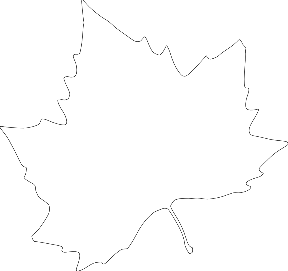 Fall Leaves Silhouette - Clip Art - Png Download (999x942), Png Download