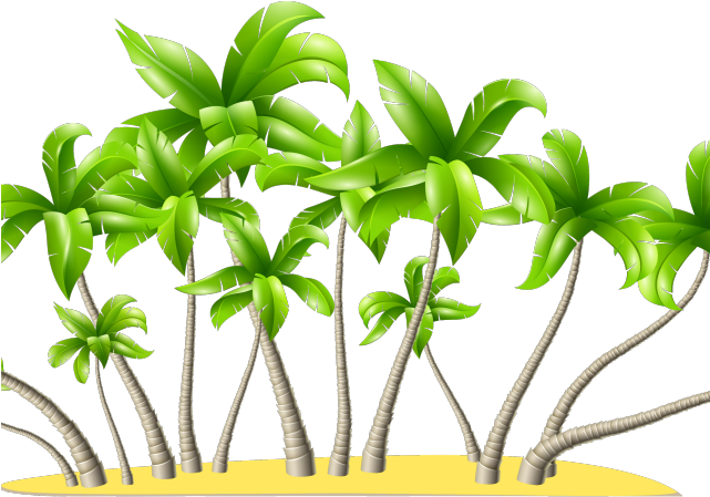 Date Palm Clipart Detailed - Palm Tree Png Transparent Png (640x480), Png Download