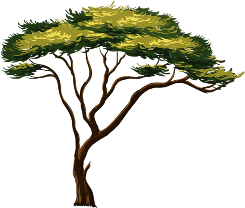 Painted African Png Picture Trees Pinterest - Wall Sticker Safari Animals Clipart (600x516), Png Download