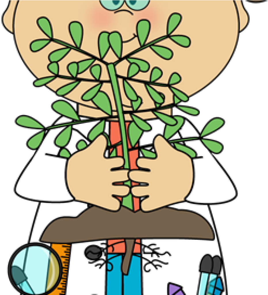 Science Clip Art Free Science Clip Art Science Images - Metabólitos Secundários Em Plantas - Png Download (1024x1024), Png Download