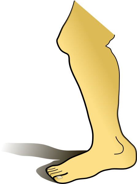 Leg Clip Art - Leg Clipart - Png Download (558x599), Png Download