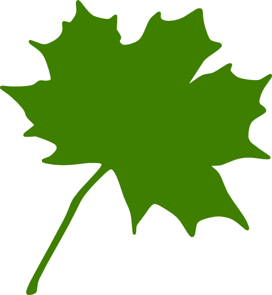 Green Leaves Clipart Clip Art Green - Canada's Maple Leaf Transparent - Png Download (552x597), Png Download