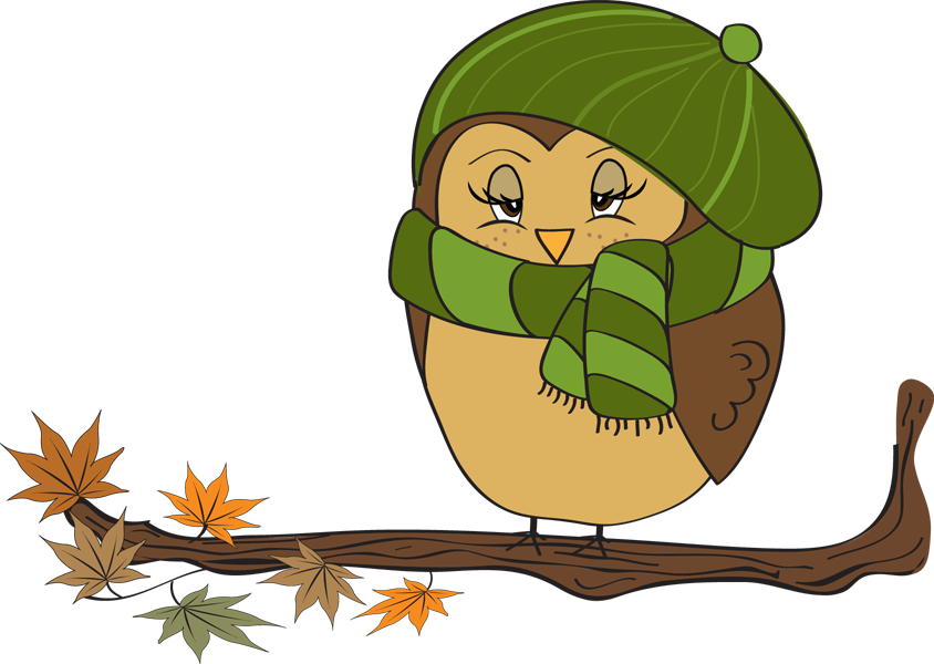 Fall Owl Clipart - Clipart November - Png Download (844x600), Png Download