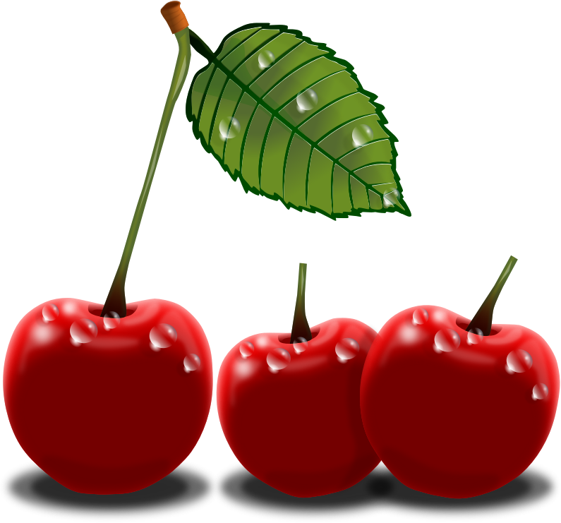 Cherry Clipart Black And White Free Clipart Image 2 - Cherry Png Clip Art Transparent Png (795x741), Png Download