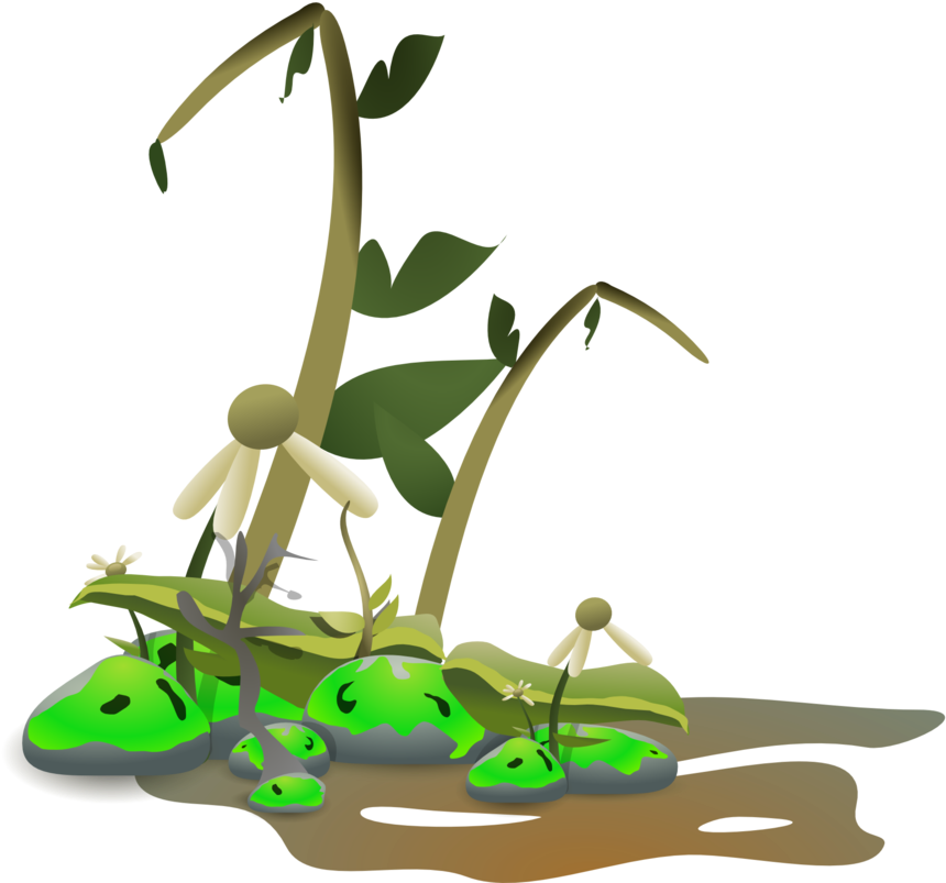 No Oil Cliparts - Sick Plant Clip Art - Png Download (700x654), Png Download