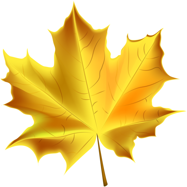 Banner Free Beautiful Yellow Autumn Transparent - Transparent Background Autumn Leaves Clipart - Png Download (599x600), Png Download