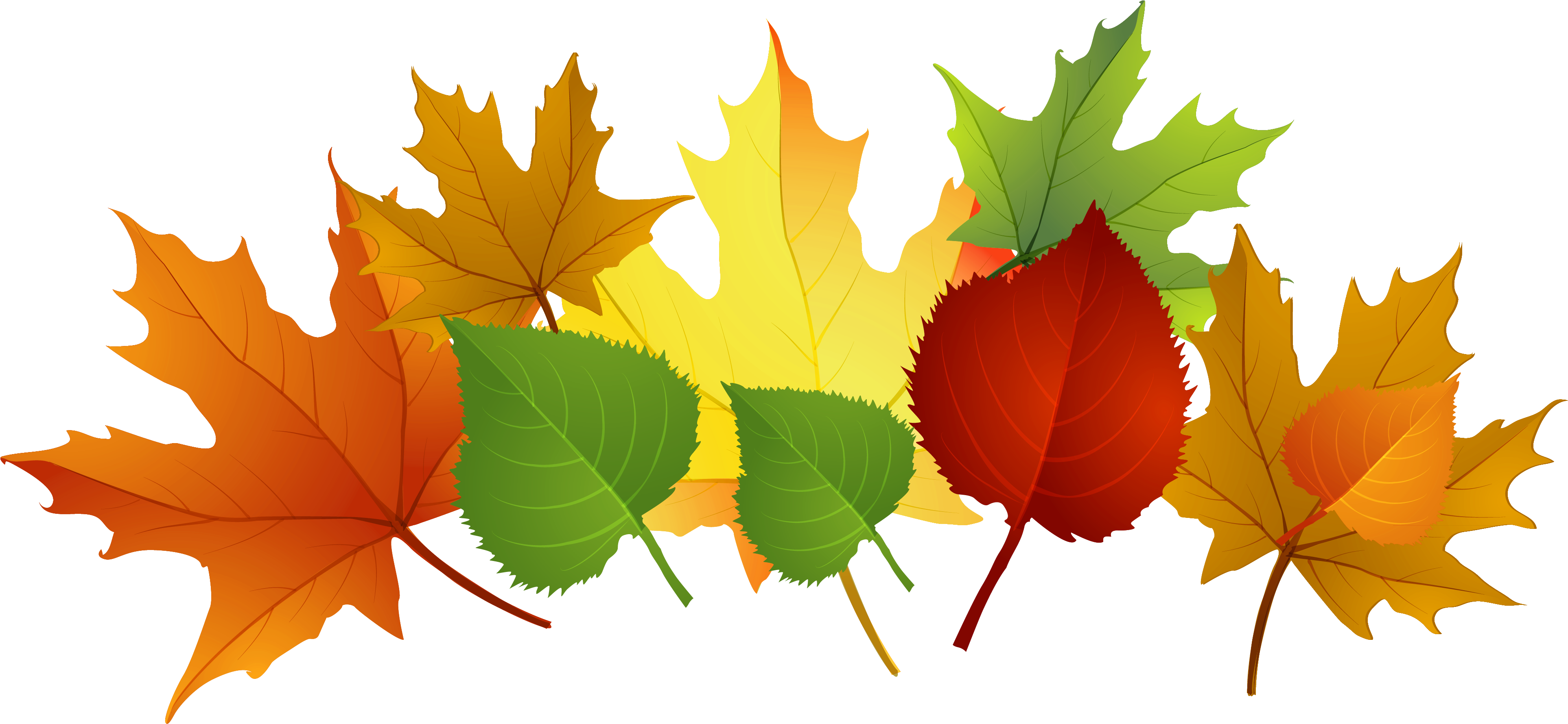 Photos Of Fall Leaf Clip Art Fall Leaves Clip Art Free - Fall Leaves Clipart - Png Download (3969x1910), Png Download