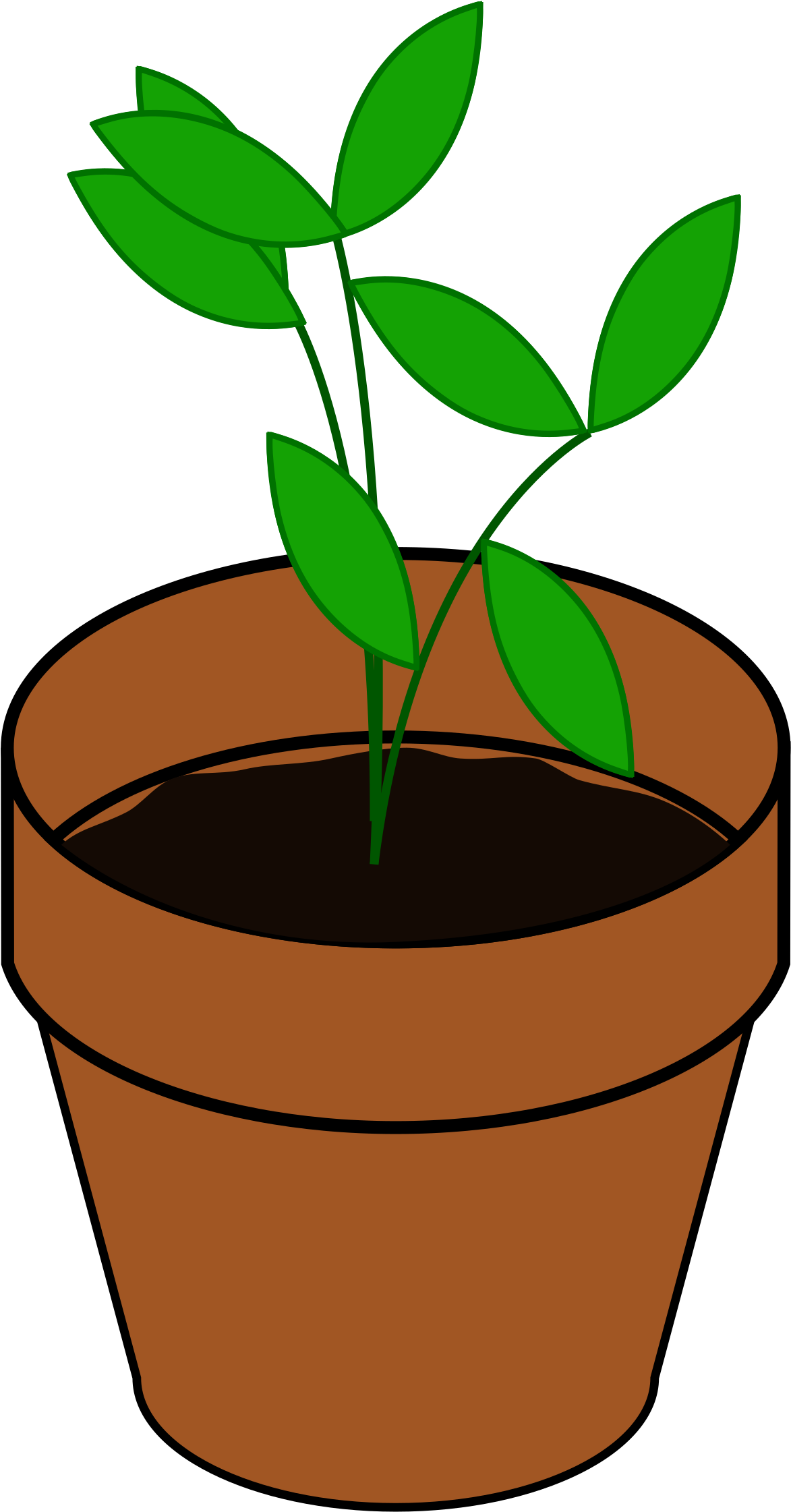 0 - Plant Clip Art - Png Download (1536x2400), Png Download