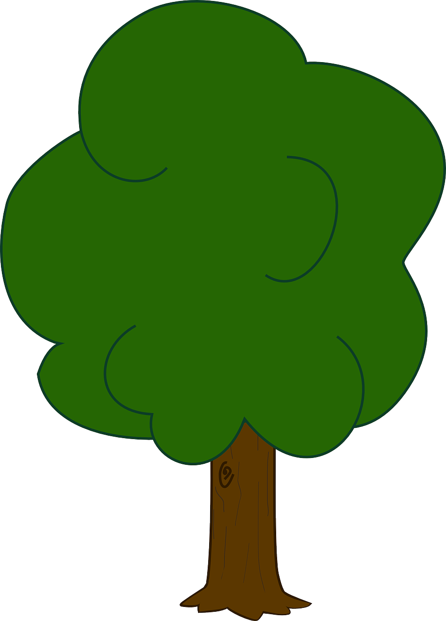 Vector - Oak Tree Clip Art - Png Download (919x1280), Png Download