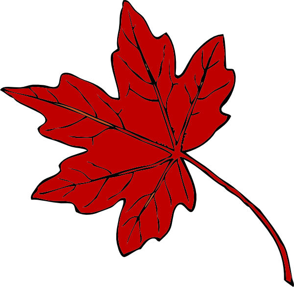 Red Maple Leaf Clipart - Png Download (600x585), Png Download