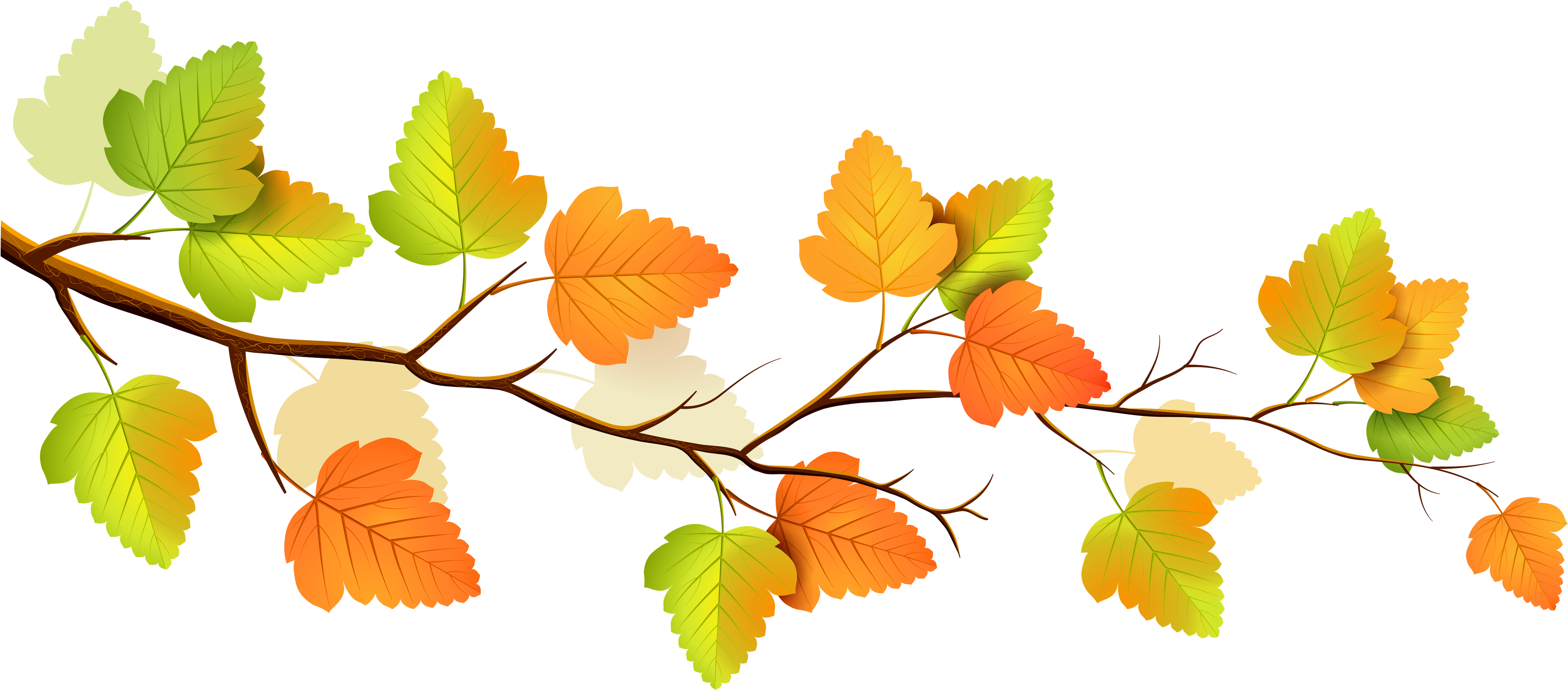 Fall - Fall Tree Branch Png Clipart (5000x2261), Png Download