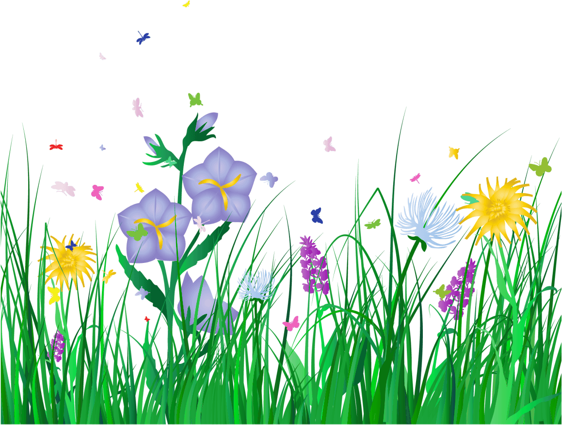 Clip Arts Related To - Flowers Clip Art Transparent - Png Download (1200x926), Png Download