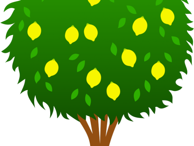 Tree Clipart Clipart Fruit Tree - Ten Apples On A Tree - Png Download (640x480), Png Download