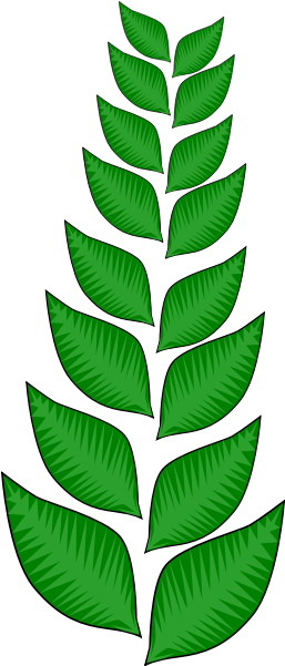 Maple Leaf Clipart Png - Vines Jungle Png Clipart Transparent Png (384x900), Png Download