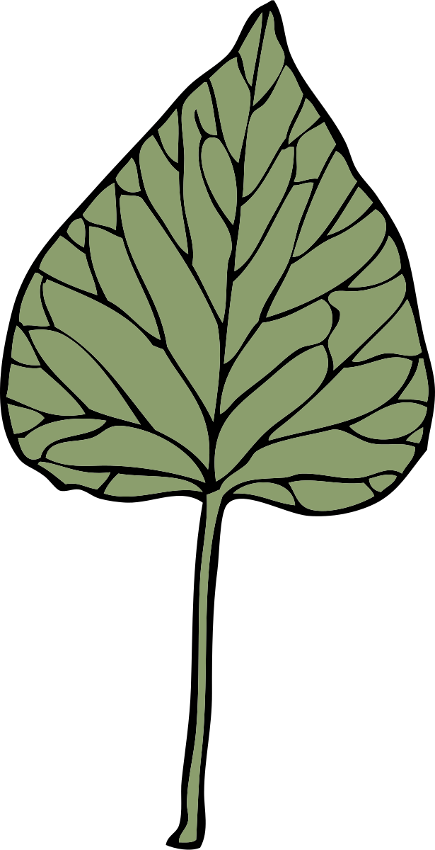 Leaf Growing Cliparts - Clip Art - Png Download (513x1000), Png Download