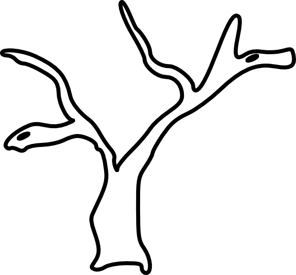 Tree Branch Black And White Clipart - Png Download (600x558), Png Download