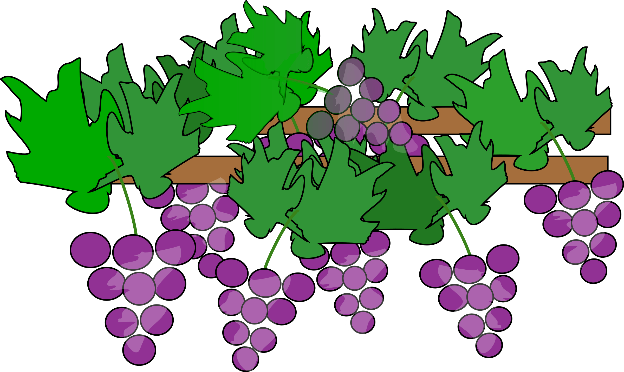 Grape Clip Art Free Clipart Image Image Grapes Vineyard Clipart Png