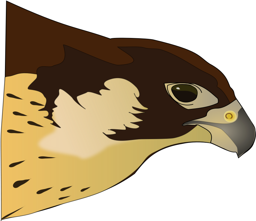 Hawk Clip Art Free - Hawk Clipart - Png Download (800x793), Png Download