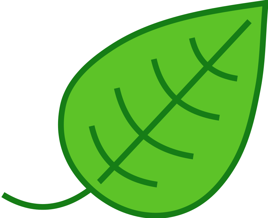 Leaf Clip Art - Leaf Clipart - Png Download (800x652), Png Download