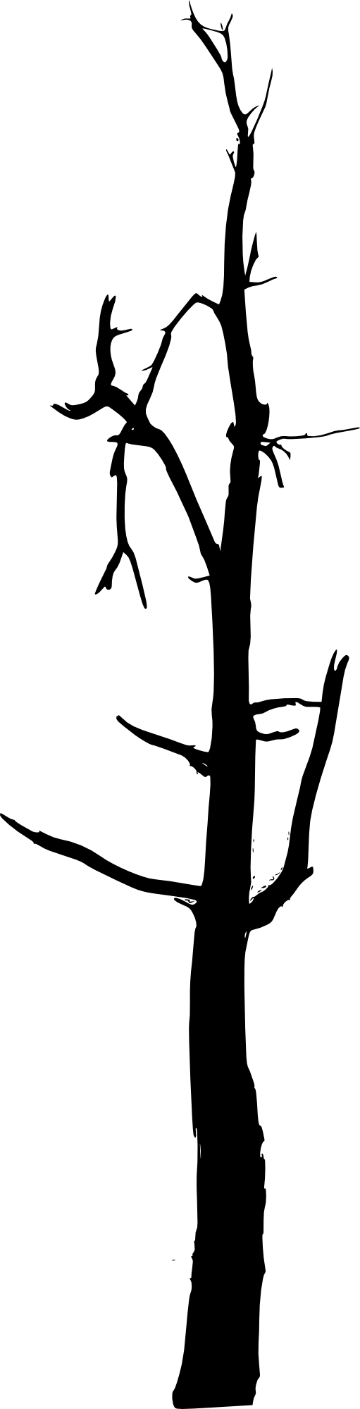 Svg Library Bare Tree Clipart Black And White - Simple Bare Tree Silhouette - Png Download (511x2000), Png Download