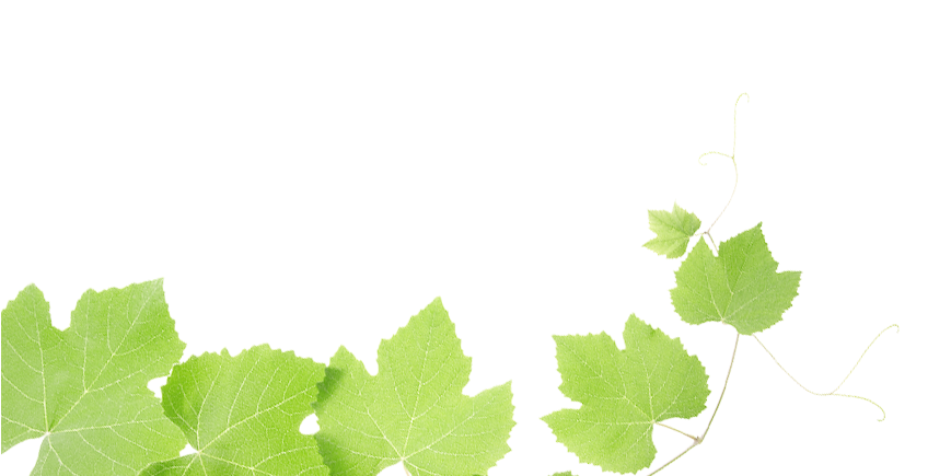 Grape 17 321 Clipart - Beat Depression One Step - Png Download (940x434), Png Download