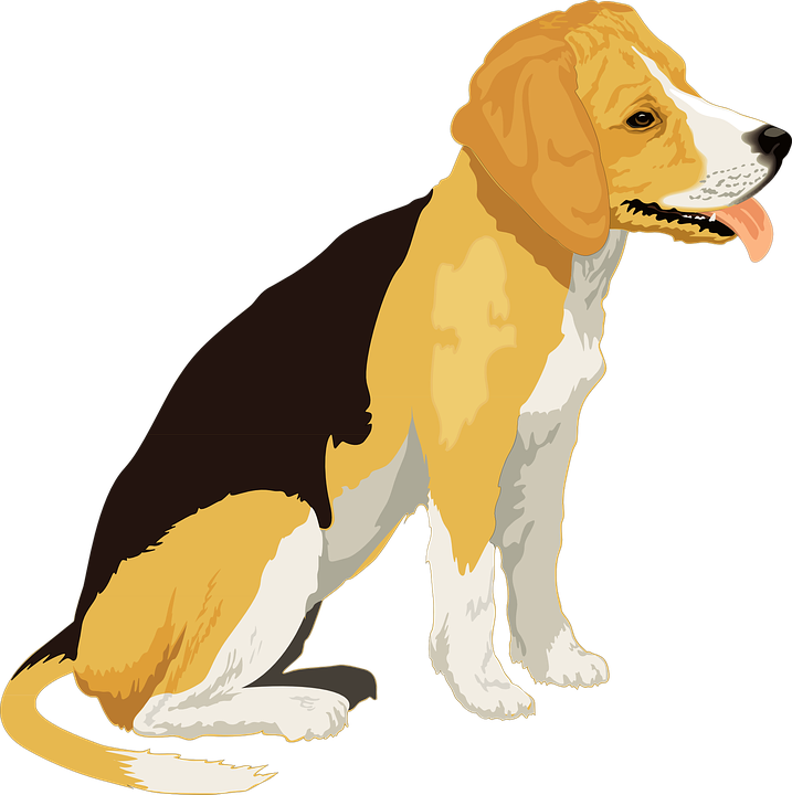 Real Dog Cliparts - Dog Free Clip Art - Png Download (717x720), Png Download