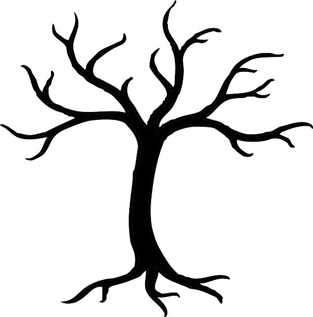 Tree, Dead, Dried, Branches, Trunk, Nature, Summer - Bare Tree Clip Art - Png Download (632x640), Png Download