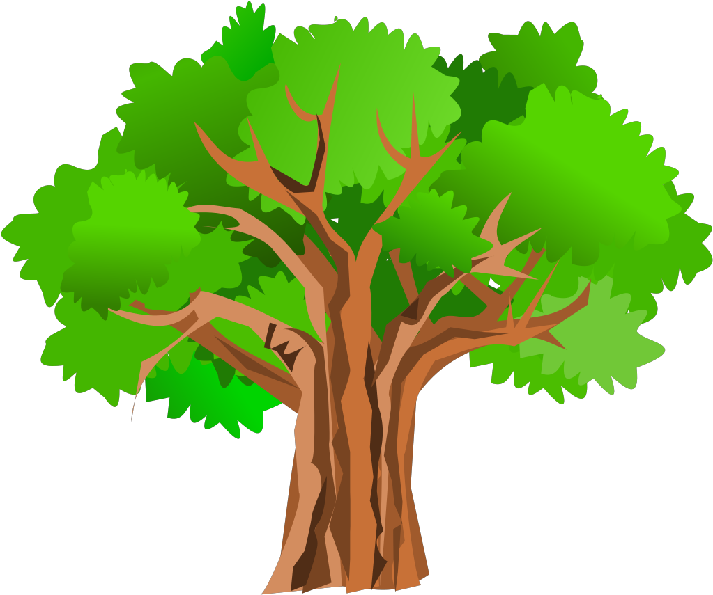 Clip Arts Related To - Tree Clip Art Transparent - Png Download (800x800), Png Download