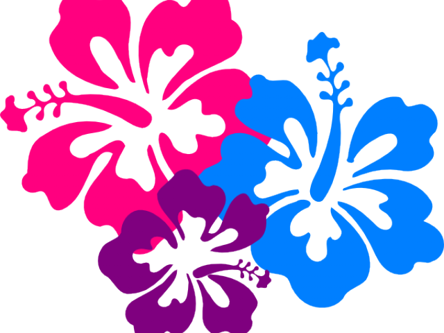 Hibiscus Clipart Luau - Clip Art Hibiscus Flower - Png Download (640x480), Png Download