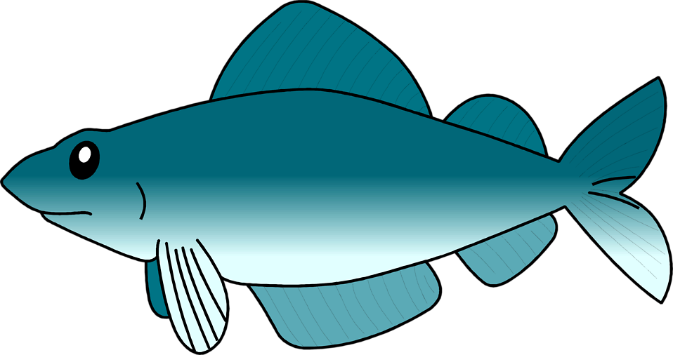 Fish - Transparent Background Fish Clipart - Png Download (958x506), Png Download