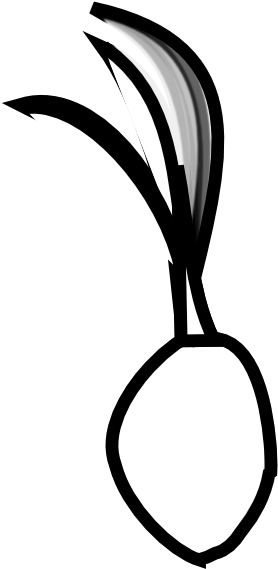 Black - Coconut - Coconut - Seed - Coconut Seed Clip Art Black And White - Png Download (999x749), Png Download