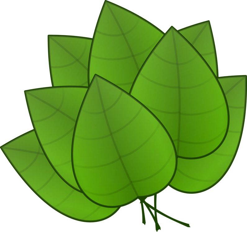 Pile Of Fall Leaves Clipart Free Clipart Images - Parts Of Plants Leaves - Png Download (600x565), Png Download