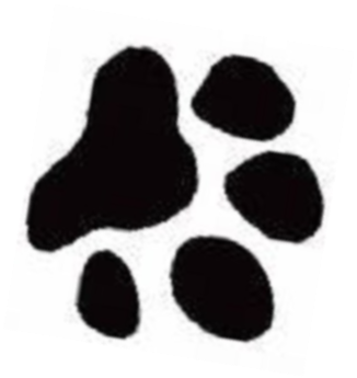 Clip Transparent Library Free Dog Print Image - Yorkshire Terrier Paw Print - Png Download (744x744), Png Download