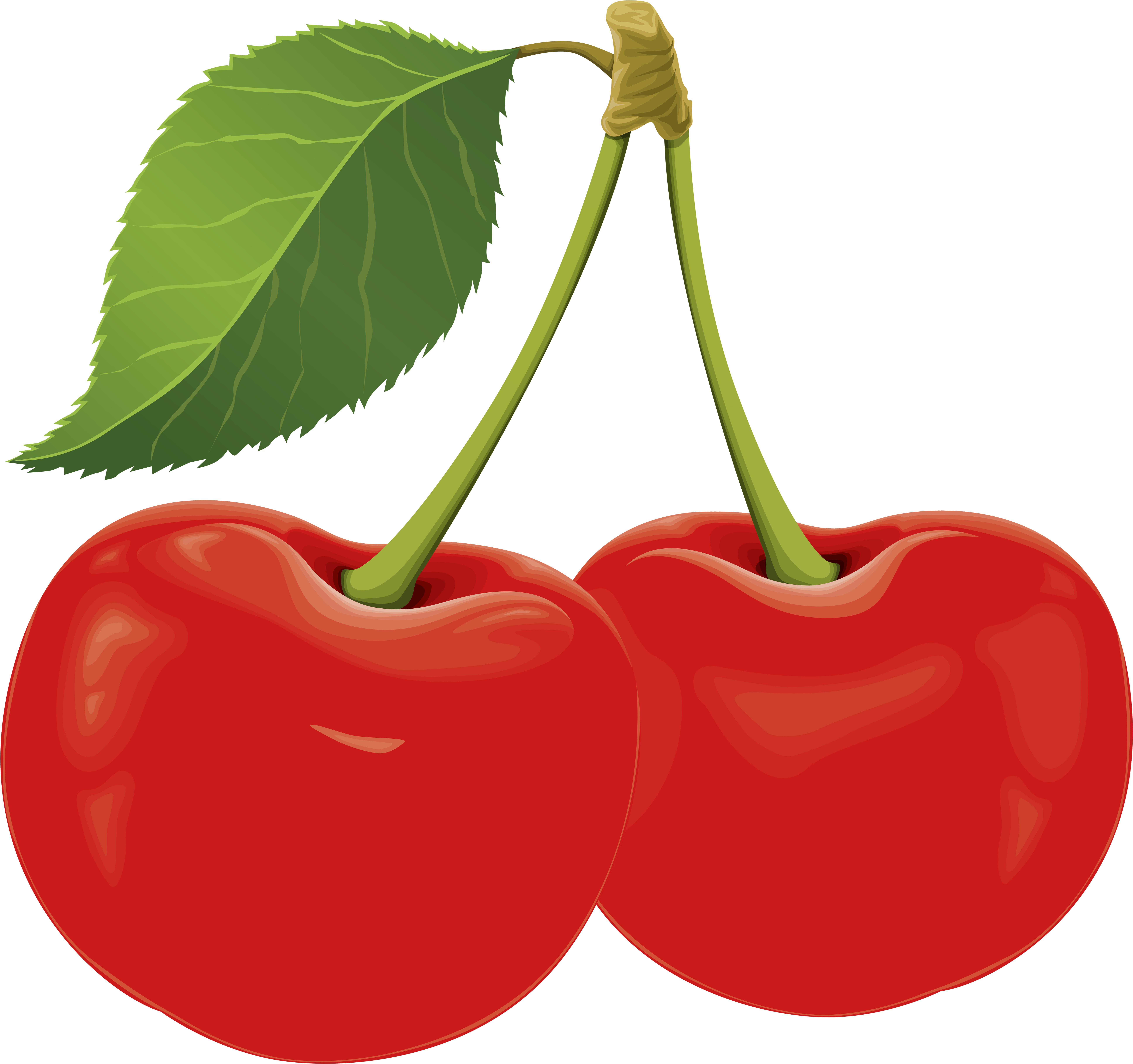 Sour Cherry Png Clip Art 1544 Cherries Transparent Png (8000x7487), Png Download