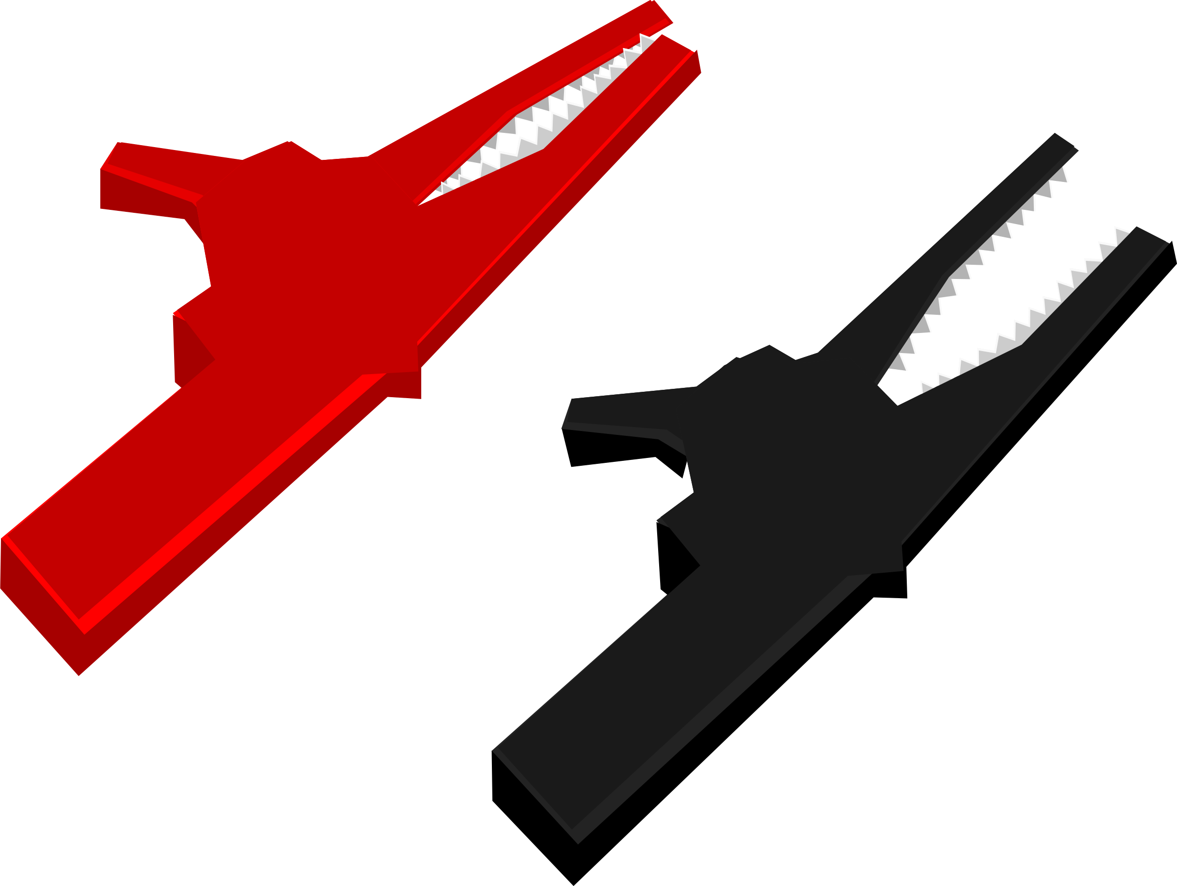 Alligator Clip Art Download - Alligator Clips Clipart - Png Download (800x601), Png Download