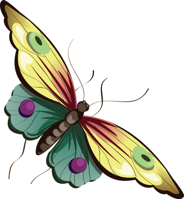 Cartoon Butterfly Clipart - Happy Friday Feeling Blessed - Png Download (600x646), Png Download