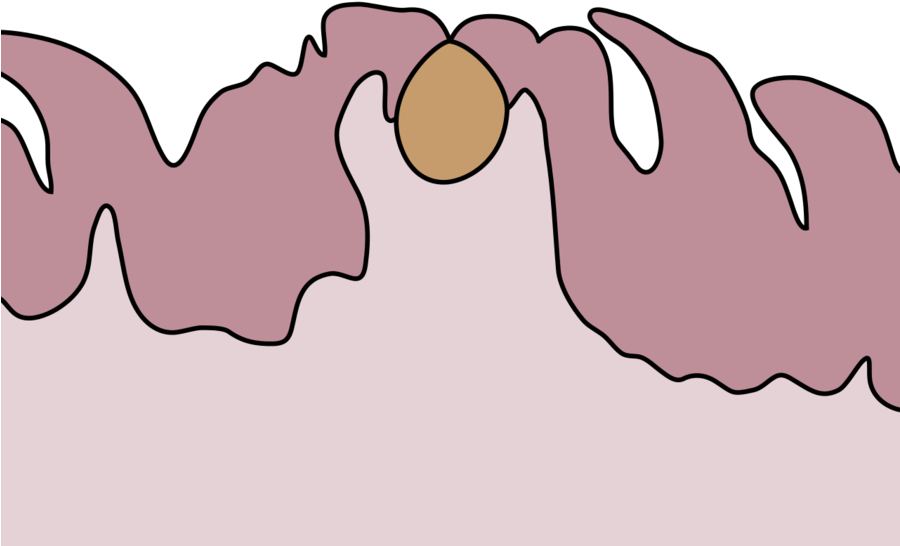 Cartoon Clipart Tooth Clip Art - Png Download (899x593), Png Download