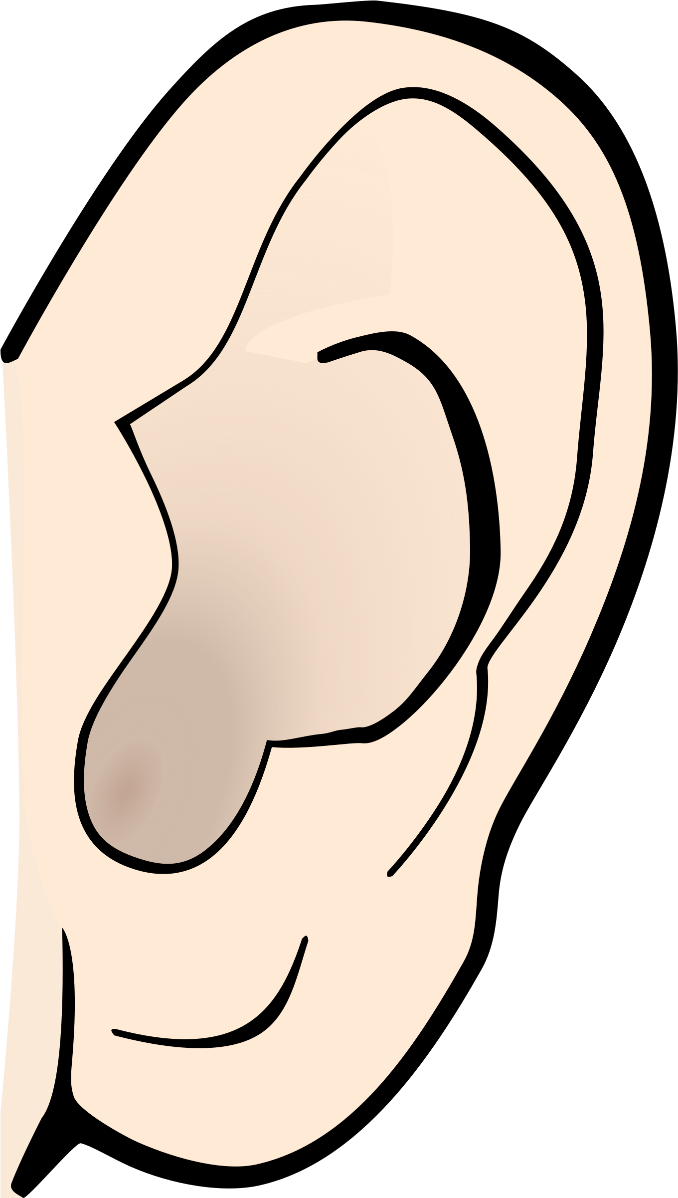 Listening Ear Clipart - Clip Art Ear - Png Download (1377x2400), Png Download
