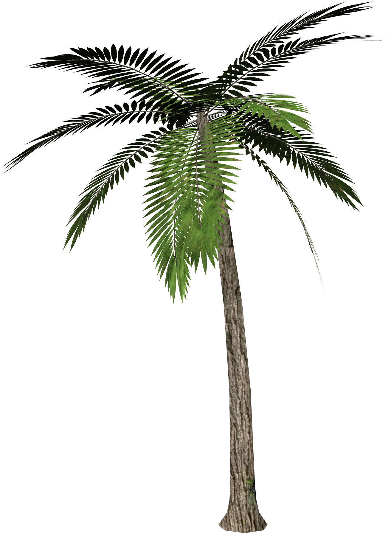 Download Palm Tree Transparent Background Clipart (#616) - PinClipart
