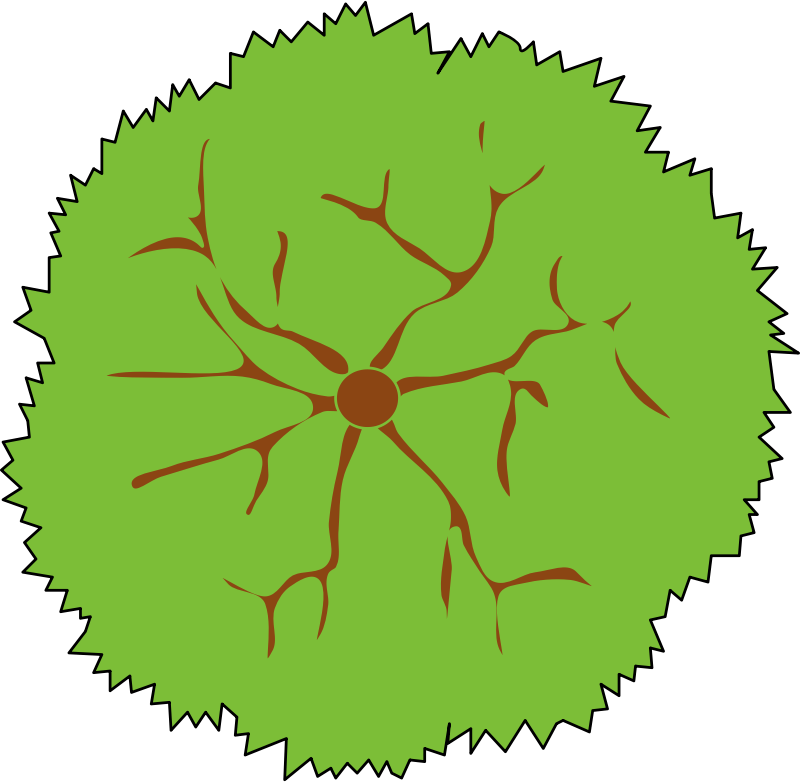 Country Star Clipart - Green Paw Print Clipart - Png Download (600x600), Png Download