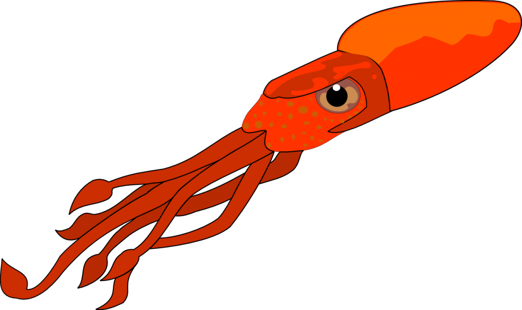Squid Clip Art Free Clipart Images - Squid Clipart Png Transparent Png (900x533), Png Download