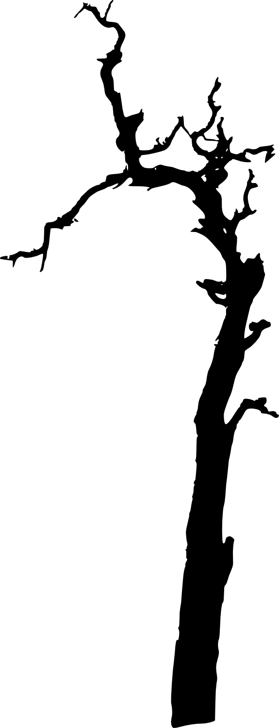 17 Dead Tree Silhouette - Silhouette Clipart (575x1500), Png Download