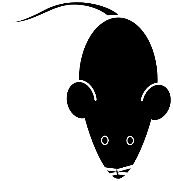 Clip Art - Png Download (570x597), Png Download
