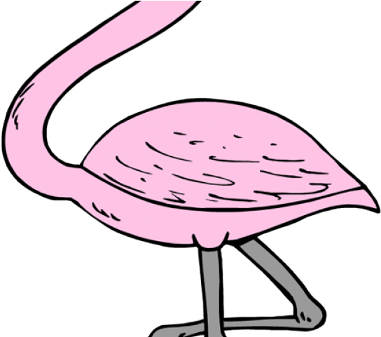 Flamingo Clipart Tropical Flamingo - Flamingos Cliparts - Png Download (640x480), Png Download