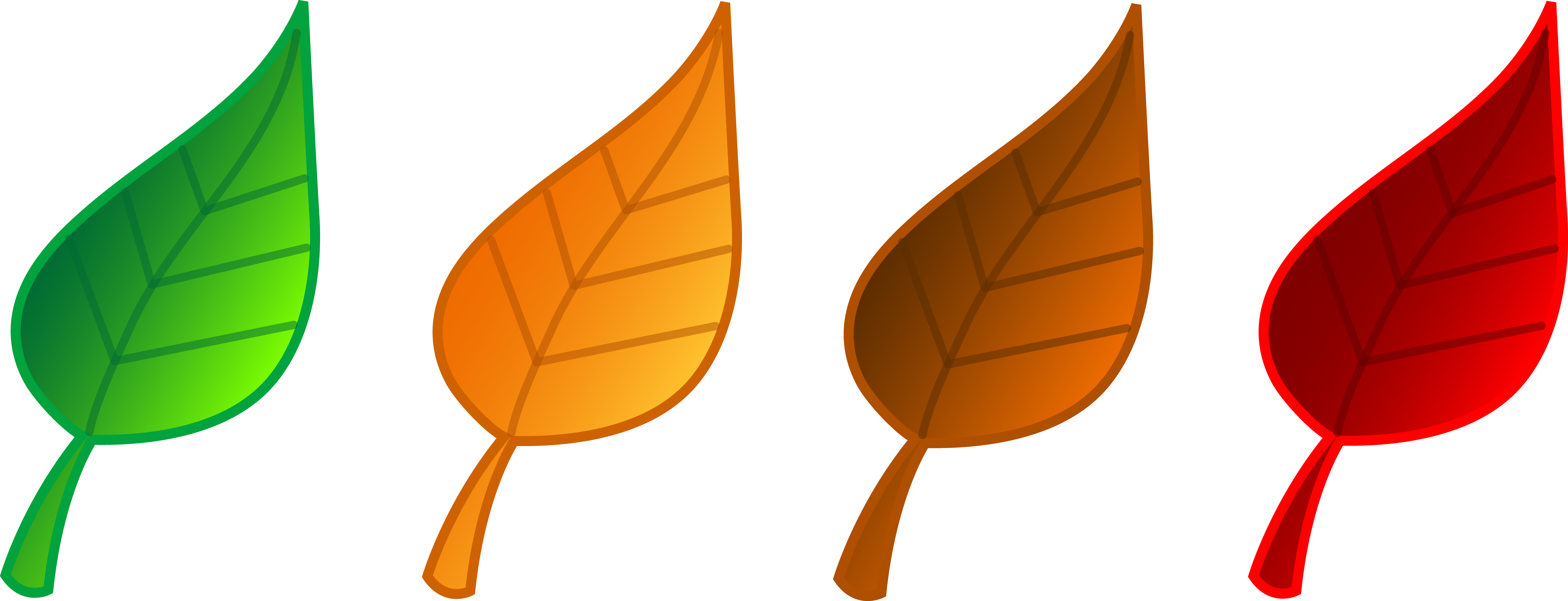 Set Of Four Tree Leaves - Leaf Cartoon Clip Art - Png Download (7840x3006), Png Download