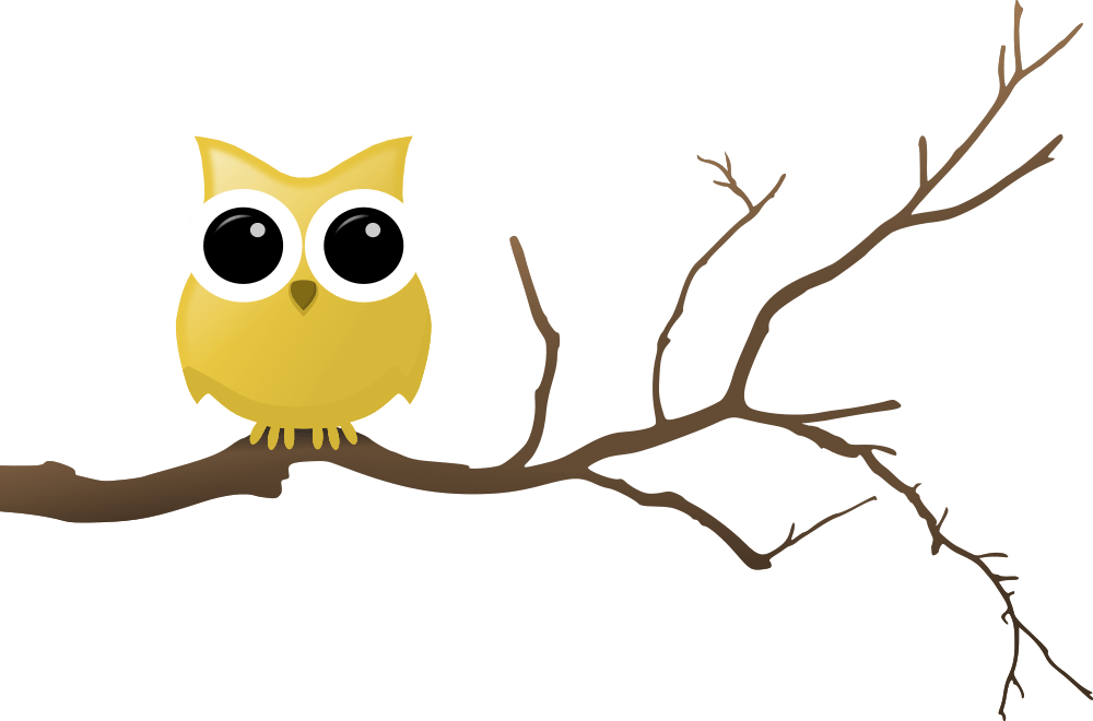 Tree Branch Clipart Png - Cartoon Owl On Branch Transparent Png (1000x660), Png Download