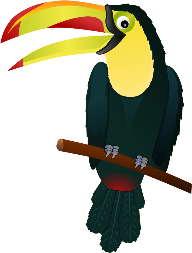 Hawaiian Clipart Tropical Bird - Tropical Bird Clip Art - Png Download (800x800), Png Download