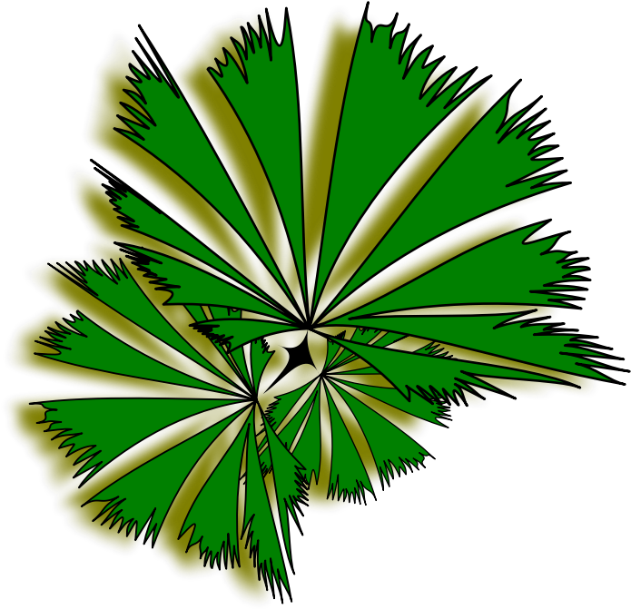 Palm Raphis 01a - Clip Art - Png Download (800x800), Png Download